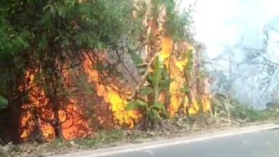 Kebakaran lahan di Musi Banyuasin