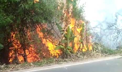 Kebakaran lahan di Musi Banyuasin