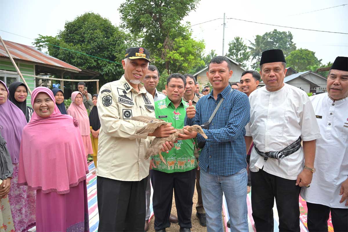 Gubernur Mahyeldi serahkan bantuan itik pada kelompok peternak. (pemprov)