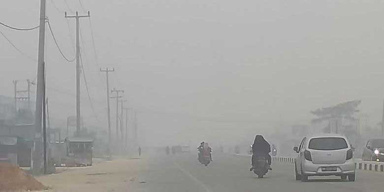 Kabut asap menyelimuti hampir semua provinsi di Sumatera. (kompas.com)