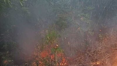 Kebun karet terbakar di Kuncia