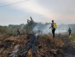 Kebun Sawit Terbakar di Jorong Ujung Koto