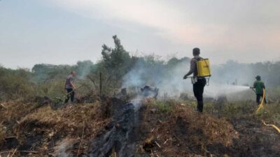 Kebun Sawit Terbakar di Jorong Ujung Koto