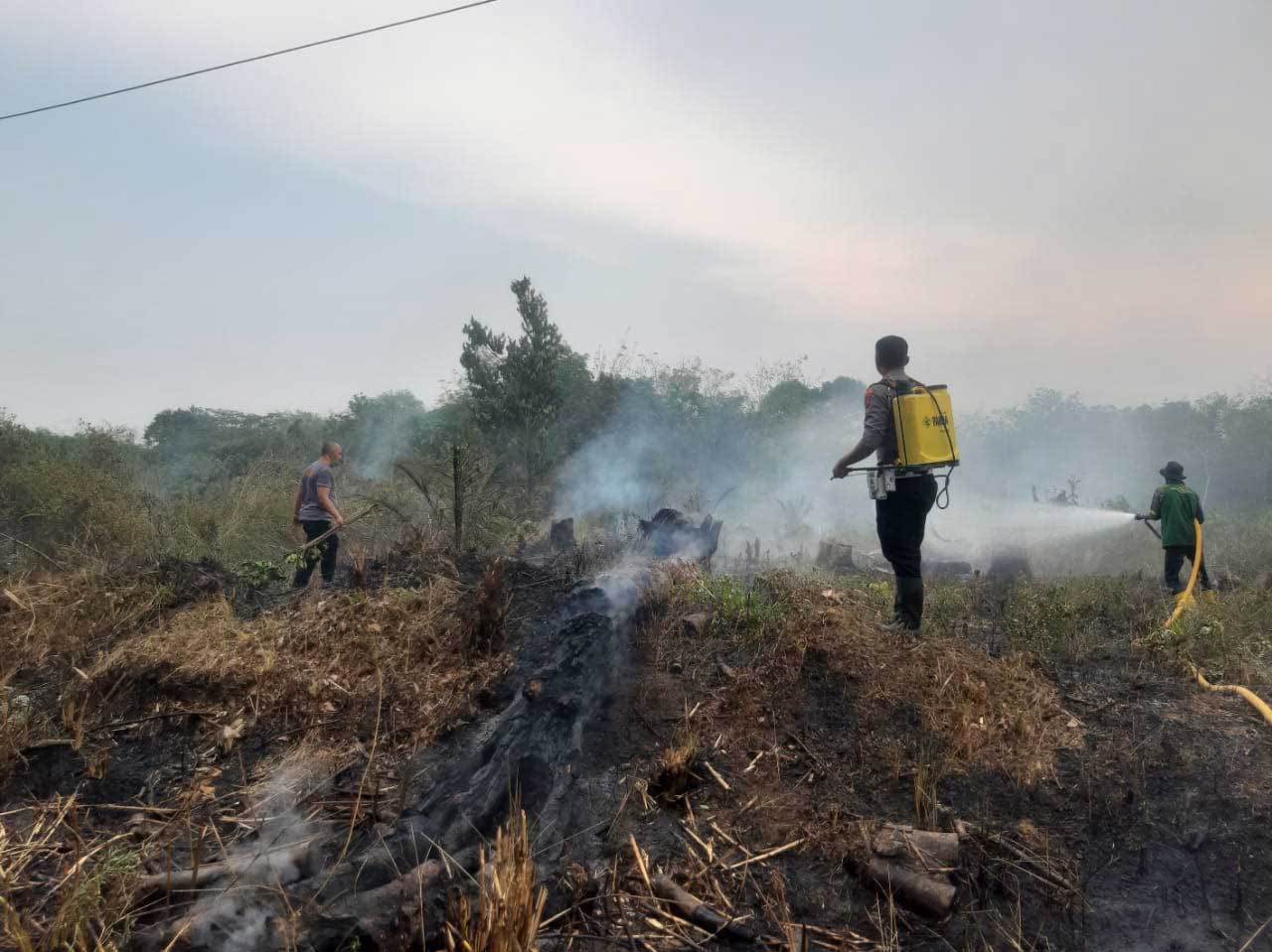 Petugas berjibaku padamkan api yang membakar lahan sawit