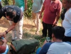 Polda Sumut Tangkap 998 Pelaku Narkoba 8 Polda Sumut Tangkap 998 Pelaku Narkoba