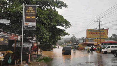 Ruas Sumbar-Riau tergenang banjir.