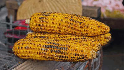 Jagung bakar menjadi menu favorit saat malam pergantian tahun