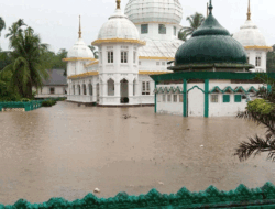 Banjir Genangi Empat Nagari di Pangkalan, Pintu Air PLTA Koto Panjang Perlu Dibuka