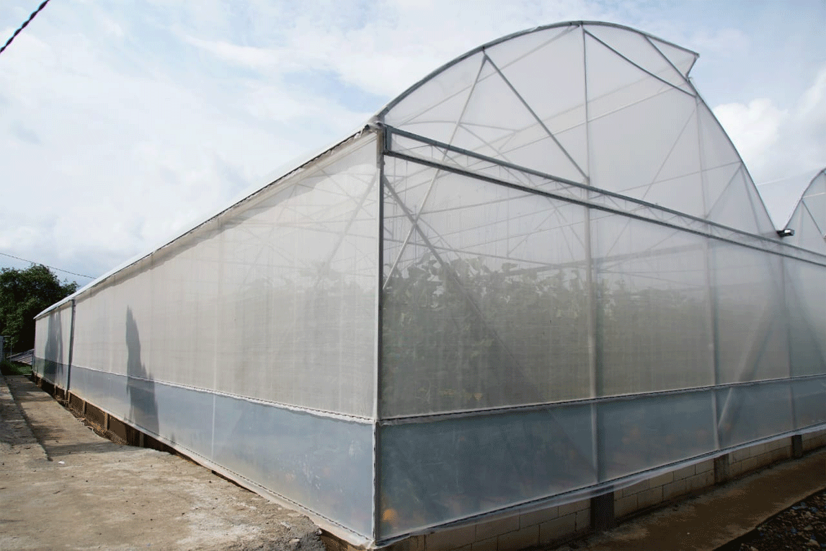 Kebun melon di SMKN 2 Batusangkar. (prokopim)