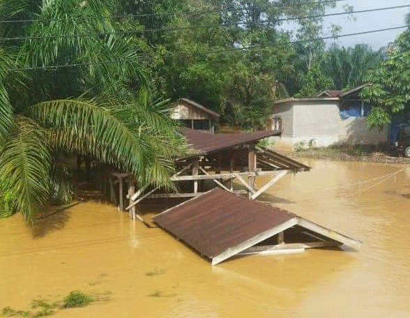 Banjir genangan pemukiman penduduk di Dharmasraya