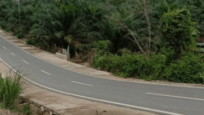 Jalan mulus di pedesaan Kabupaten Kuantan Singingi, Riau. (ridho)