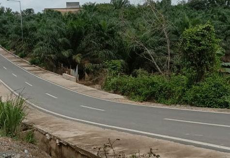 Jalan mulus di pedesaan Kabupaten Kuantan Singingi, Riau. (ridho)
