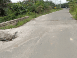 Lubang Besar di Jembatan Penghubung Dua Desa di Kuansing, Warga Minta Pemerintah Memperbaiki