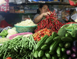 Lado Mahal, Beras Naik, Bawang Putih Naik, Cari Solusi, Mangecek-ngecek Juga Lagi
