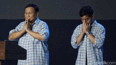 Prabowo Subianto dan Gibran Rakabuming Raka. (detikcom)
