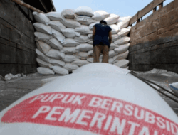 Penting Dicatat Petani, Agam Peroleh 13.478 Ton Pupuk Bersubsidi, Ini Harga Eceran Tertinggi