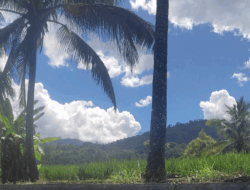 Saniangbaka, Negeri yang Elok di Kabupaten Solok, Nyaman KKN di Sini 7 Saniangbaka, Negeri yang Elok di Kabupaten Solok, Nyaman KKN di Sini