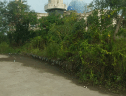 Halaman Ditumbuhi Rumput Liar, Bangunan Masjid Raya Randik Kurang Terawat, Siapa yang Akan Mengurus? 4 Halaman Ditumbuhi Rumput Liar, Bangunan Masjid Raya Randik Kurang Terawat, Siapa yang Akan Mengurus?