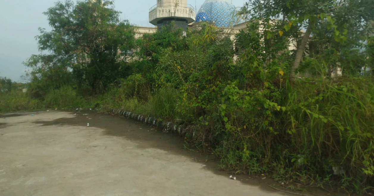 Halaman masjid yang dipenuhi semak.
