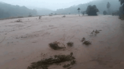 Sungai Meluap, Puluhan Hektare Sawah Disapu Banjir di Sawahlunto