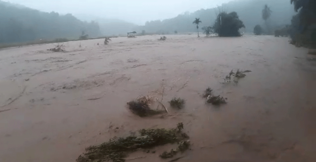 Banjir menggenang sawah di Sawahlunto