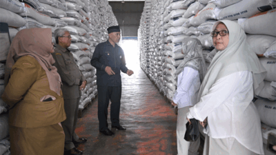 Gubernur Mahyeldi cek ketersediaan beras di gudang Bulog, Padang. (Biro Adpim)