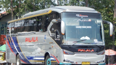 Bus Palala
