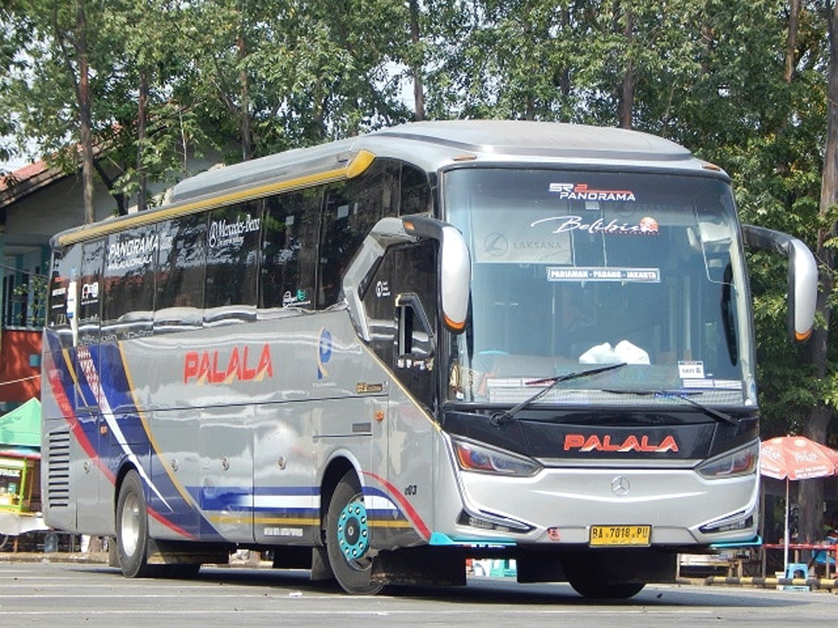 Bus Palala