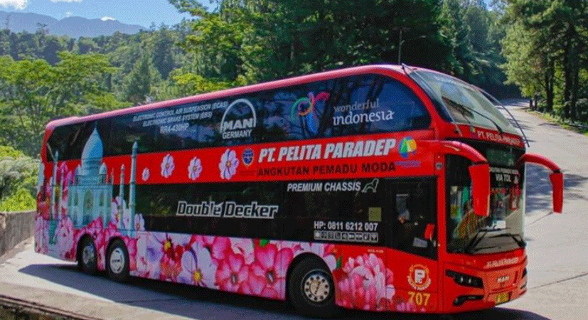 Bus Pelita Paradep. (instagram buskomersial.com)