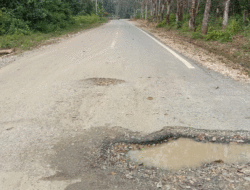 Jalan Baru Dibangun di Kuantan Singingi Malah Rusak, Warga Minta Perbaikan Segera Dilakukan