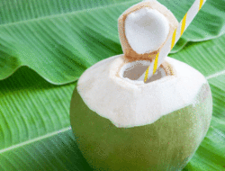 Cepat Pulihkan Kondisi Tubuh, Air Kelapa Muda Baik Dikonsumsi Saat Buka Puasa