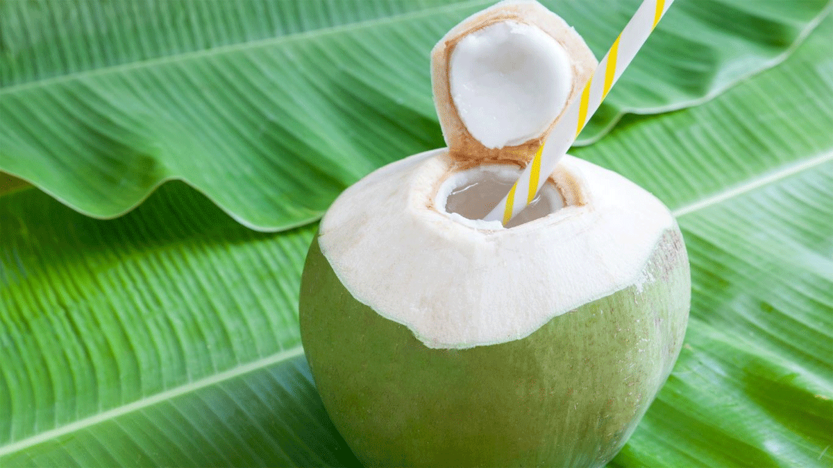 Air kelapa muda yang baik untuk berbuka