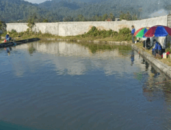 Ingin Bermalam di Tempat Memancing, di Sini Tempatnya, Dijamin Sejuk dan Auto Tidur Nyenyak, Tarifnya Ramah di Kantong 2 Ingin Bermalam di Tempat Memancing, di Sini Tempatnya, Dijamin Sejuk dan Auto Tidur Nyenyak, Tarifnya Ramah di Kantong