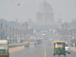 Bukan Hoaks, Jangankan Turis, Binatang Saja Diperkosa di India