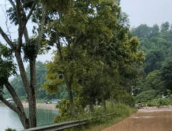 Longsor di Singkarak, Akses Solok-Padang Panjang Terputus, Ini Jalan Alternatif, Tidak Disarankan untuk Bus dan Truk 12 Longsor di Singkarak, Akses Solok-Padang Panjang Terputus, Ini Jalan Alternatif, Tidak Disarankan untuk Bus dan Truk