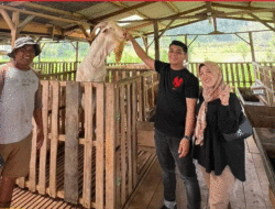 Pengusaha Oleh-oleh Khas Minang Terpilih Jadi Anggota DPRD Payakumbuh 3 Pengusaha Oleh-oleh Khas Minang Terpilih Jadi Anggota DPRD Payakumbuh