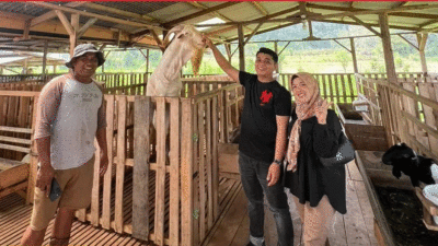 Mardion kunjungi peternakan milik warga