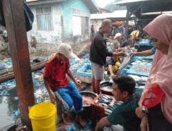 Politisi Bersahutan Soal Operasi Sayang Anak, Yuk Berburu Ikan Sayang Anak di Pasar Gaung