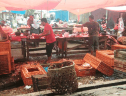 Harga Beras Mulai Stabil di Dharmasraya, Cabe Masih Tinggi, Operasi Pasar Dilakukan Saat Ramadan 2 Harga Beras Mulai Stabil di Dharmasraya, Cabe Masih Tinggi, Operasi Pasar Dilakukan Saat Ramadan