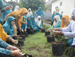 Hidup Lagi Capek-capeknya, Cabai Mahal di Pasar, Ibu-ibu PKK Tanam Cabai di Halaman Rumas Dinas Bupati
