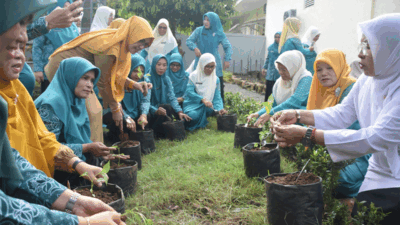 Hidup Lagi Capek-capeknya, Cabai Mahal di Pasar, Ibu-ibu PKK Tanam Cabai di Halaman Rumas Dinas Bupati