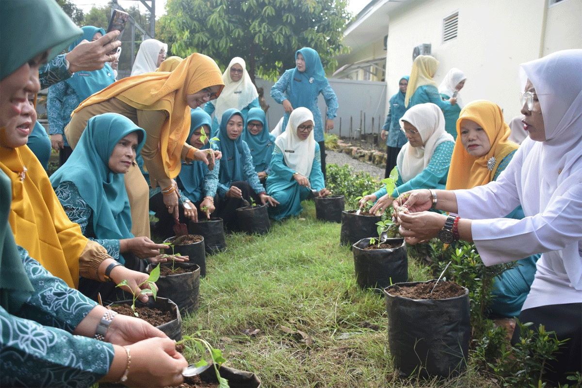Anggota PKK tanam cabai di Lubuk Basung