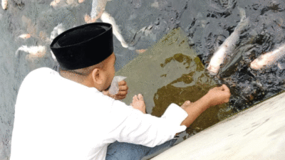 Wagub Sumbar saksikan ikan di Sungai Janiah