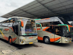 Bus Menggala Rilis Dua Bus Baru, Rute Masih Dirahasiakan