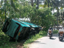 Bus Pariwisata Rebah Kuda, Sejumlah Penumpang Alami Luka
