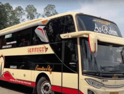 Sukses di Sumbar, Perusahaan Otobus Tak Mesti Berpelat BA, Ini Buktinya
