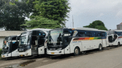Armada bus Sinar Jaya. (Kompas.com)