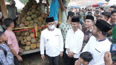 Warga kunjungi festival durian di Pulau Mutiara Lubuk Gadang Utara, Solok Selatan