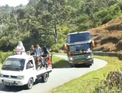 ALS, Satu-satunya Bus Sumbar-Medan yang Lintasi Tikungan Patah Kuburan Duo