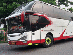 MTrans, Bus Sultan dari Pulau Dewata, Berani Buka Line ke Sumbar? 8 MTrans, Bus Sultan dari Pulau Dewata, Berani Buka Line ke Sumbar?